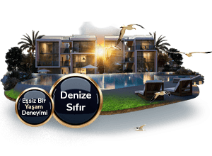 Four Seasons Life III