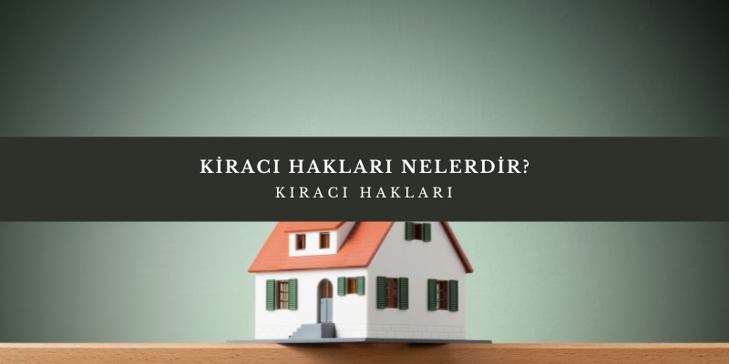 Kiracının İradesi, Ev Sahibinin Sorumluluğu