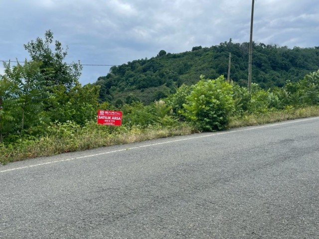 Land for sale 500 meters from the beach in Beşikdüzü