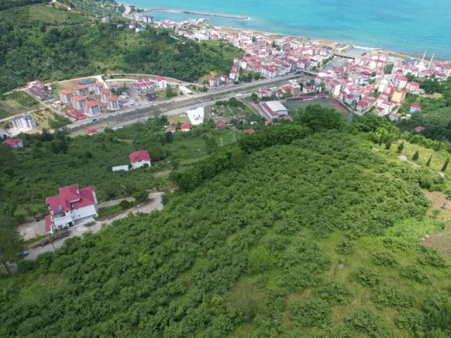 ÇARŞIBAŞI BÜYÜKDERE'DE DENİZ VE DOĞA MANZARALI SATILIK ARSA